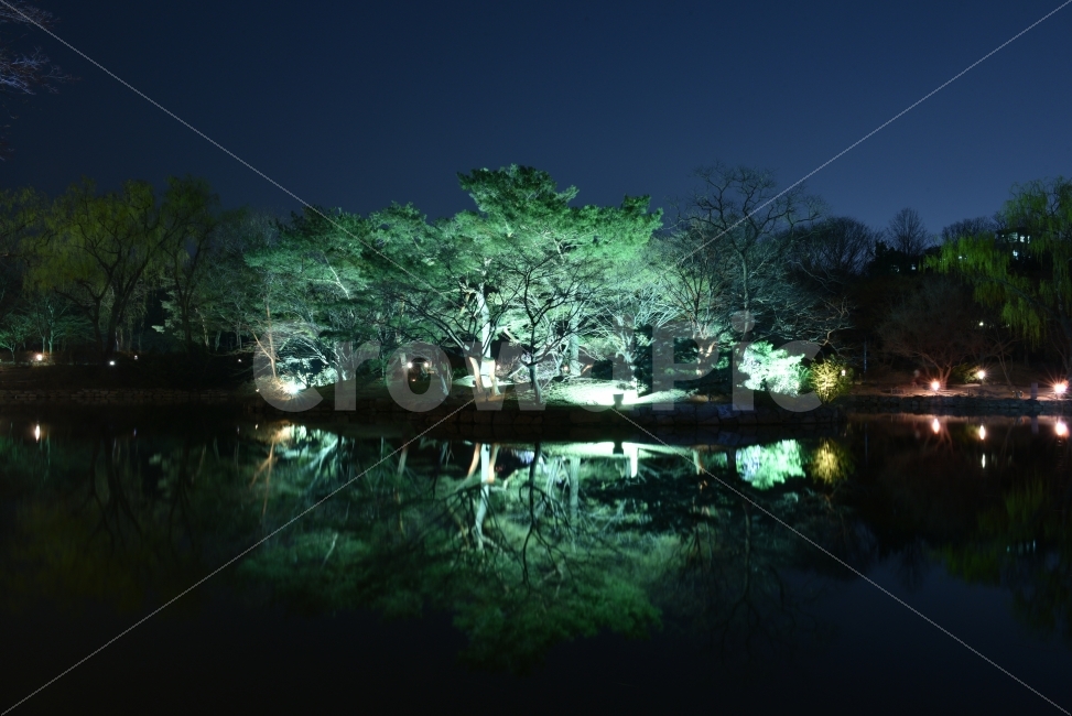 Nikon,D750,서울,창경궁,야간개장,야경,반영,야경,밤,풍경,nightscape,night,landscape,랜드마크,landmark,tourist attraction,water,물,nature,자연,outdoors,옥외