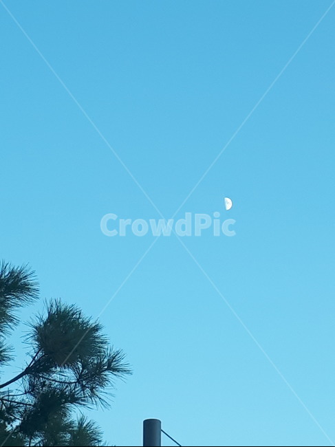 달,moon,sky,하늘,푸른하늘,자연,풍경,nature,landscape