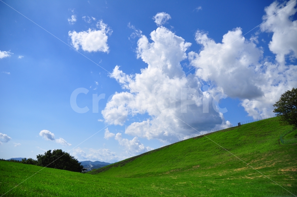 가을,여행,대관령,초원,잔디,구름,하늘,나무,autumn,trip,grassland,grass,clouds,sky,trees,자연,풍경,nature,landscape,목초지,outdoors,옥외,field,들
