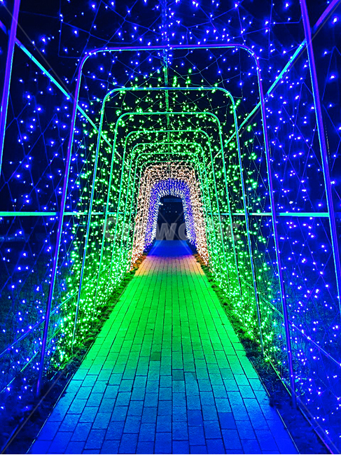 lighting,조명,light,빛,빛길,불빛길,아름다운길,몽환적인길,몽환,밤,새벽,조명길,파랑,연두,초록색,파란색,들어가는,입구,출구