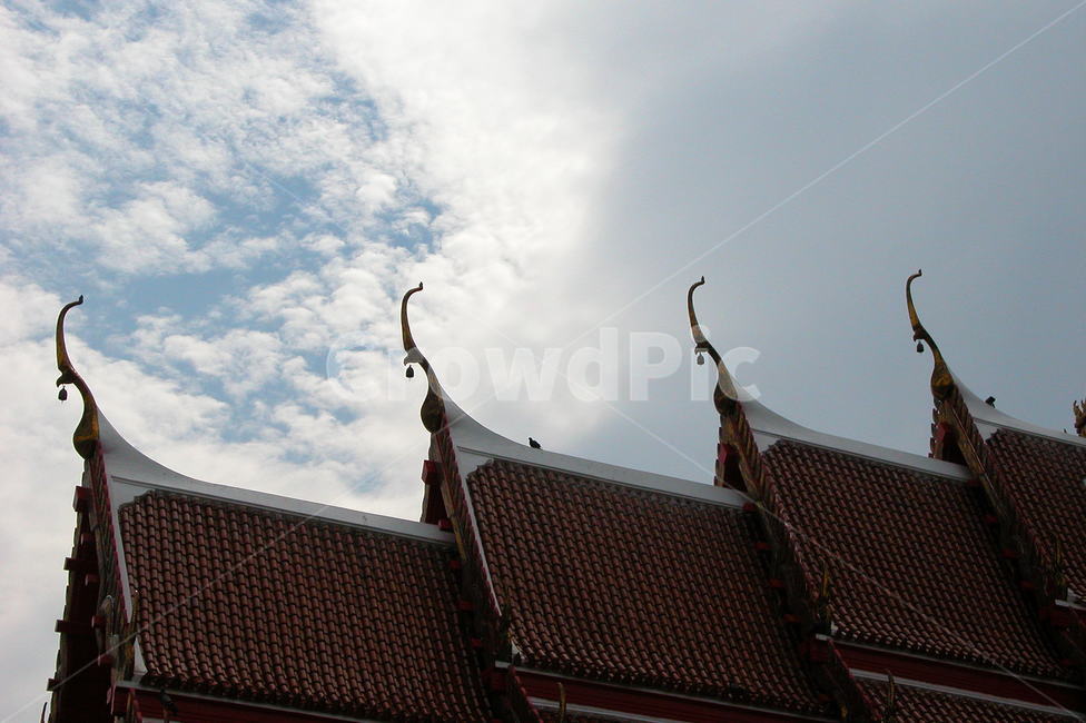 건축,지붕양식,건축양식,architecture,건축물,건물,building,절,신사,신전,shrine,worship,예배,roof,지붕,temple