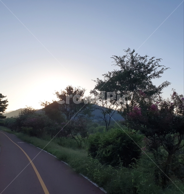 도로,자연,산책,산책로,나무,숲,자연,풍경,nature,landscape,road,asphalt,아스팔트,freeway,고속 도로