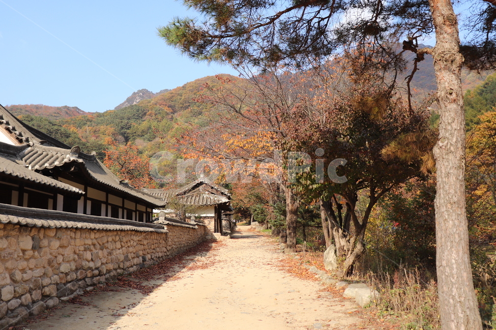 nature,풍경,농촌,자연,한옥