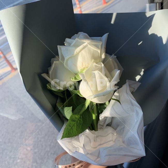 꽃,식물,flower,plant,꽃다발,flowerarrangement,blossom,flowerbouquet,꽃부케,생화