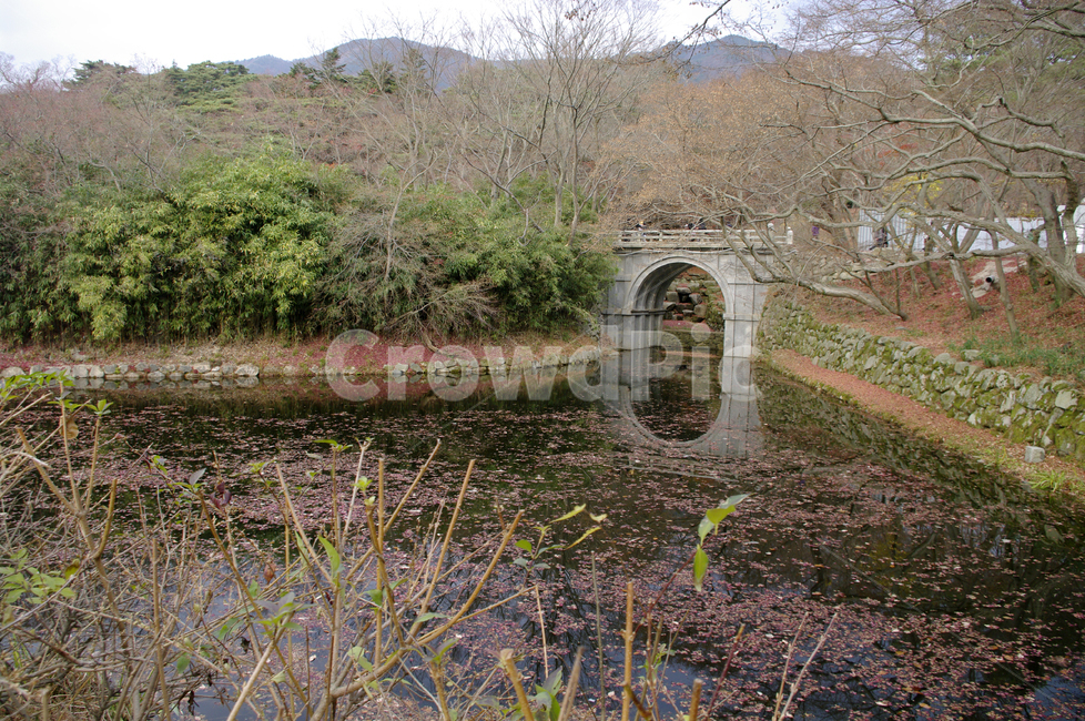 풍경,다리,연못,가을,fall,나무,식물,plant,자연,풍경,nature,landscape,building,건물