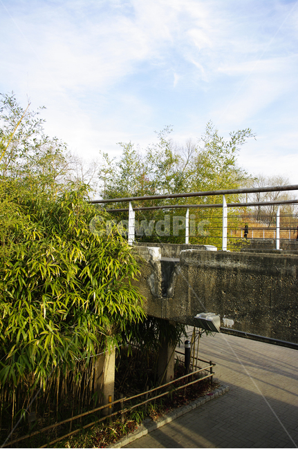 겨울,나무,공원,식물,plant,자연,풍경,nature,landscape,handrail,난간,banister,railing