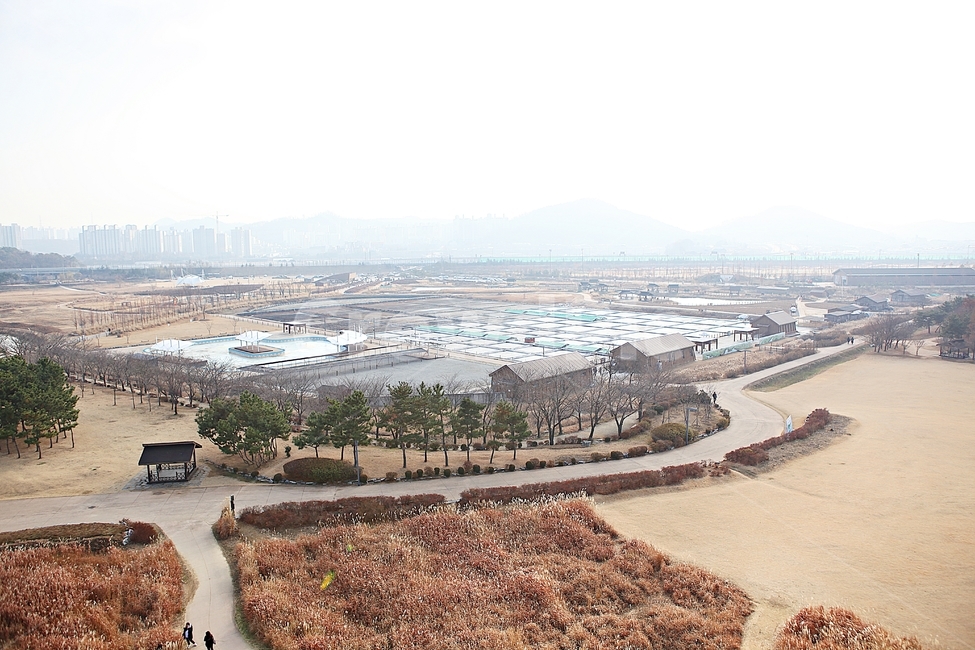 염전,시흥갯골생태공원,소금창고,소금,식물,자연,풍경,건물,건축물