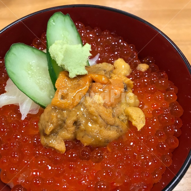 연어알,성게,일본,삿뽀로,음식,음식,식재료,요리,food,cook,meal,dishes,food reserves,일식,일본음식,일본요리,Japanese food,Japanese dishes,Japanese meal,Japanese cook