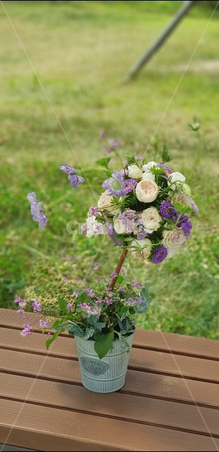 식물,blossom,꽃,flower,꽃꽂이,plant