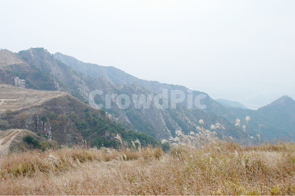 자연,산,억새,화왕산,구름,가을,계절,fall,autumn,season,자연,풍경,nature,landscape,slope,경사,outdoors,옥외