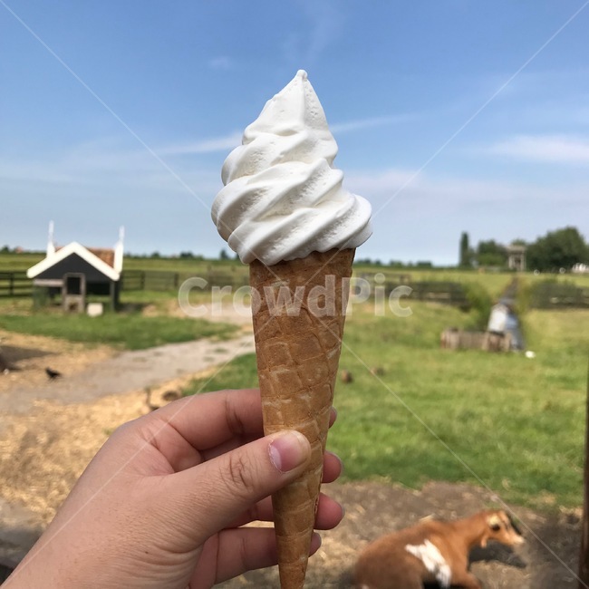 아이스크림,목장,초원,디저트,자연,흰색,디저트,간식,후식,dessert,snack