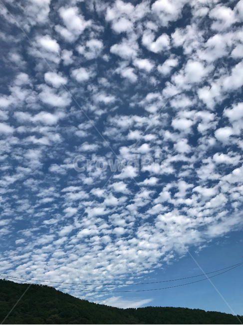 자연,옥외,하늘,구름,푸른하늘,날씨,맑음,낮,atmosphere,background,beautiful,beauty,blue,bright,clear,cloud,cloudscape,cloudy,color,day,environment,high,landscape,mountain,natural,nature,outdoor,sky,sunny,texture,view,weather,white