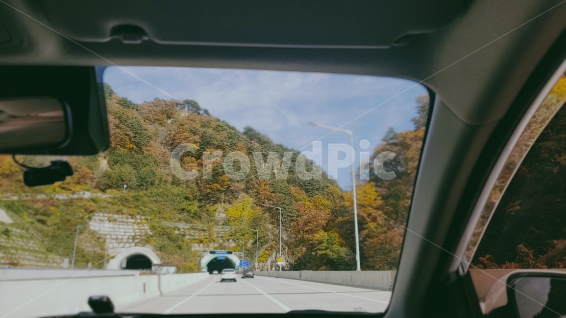 가을,드라이브,자동차,배경,맑은하늘,가을,계절,fall,autumn,season