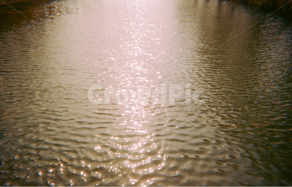 호수,빛,감성,풍경,물결,필름,film,힐링,자연,햇빛,빛반사,찰랑,강,light,lake,ocean,river,nature,배경,배경화면