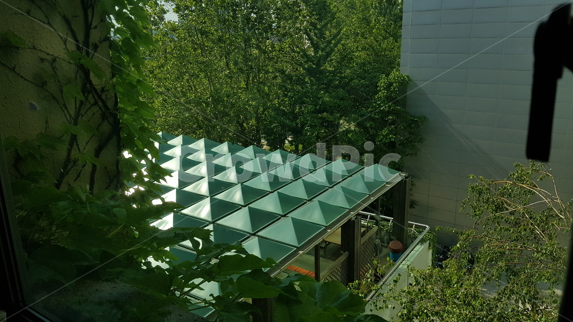 초록,green,지붕,패턴,roof,pattern,야외,outdoor,나무,tree
