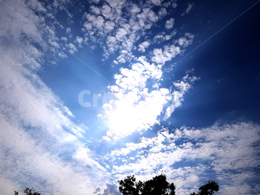 plant,식물,grass,잔디,tree,나무,양산시,거리,nature,자연,outdoors,옥외,가늘하늘,하늘,sky,자연,풍경,nature,landscape