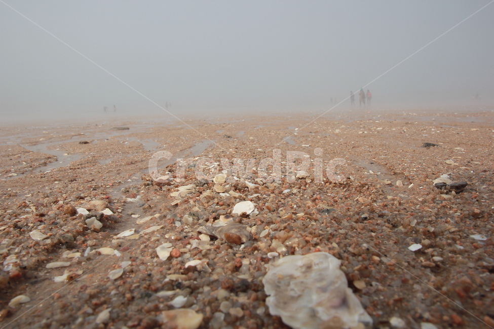 바다,해변,beach,모래사장,수평선,안개