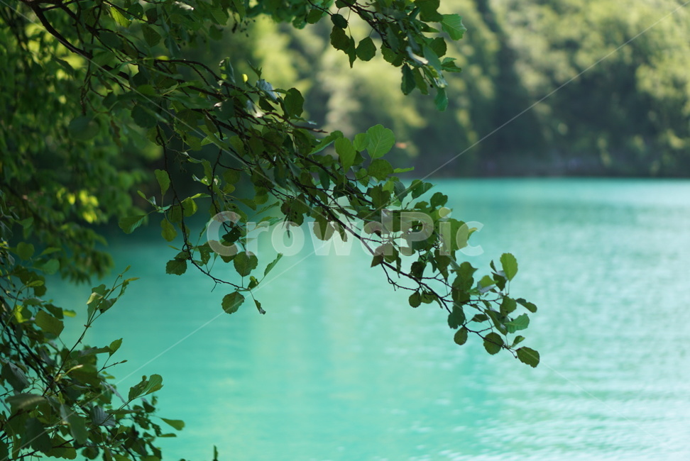 플리트비체,water,river,outdoors,물,강,자연,폭포,waterfall,호수,rake,크로아티아,croatia,plitvice,nationalpark