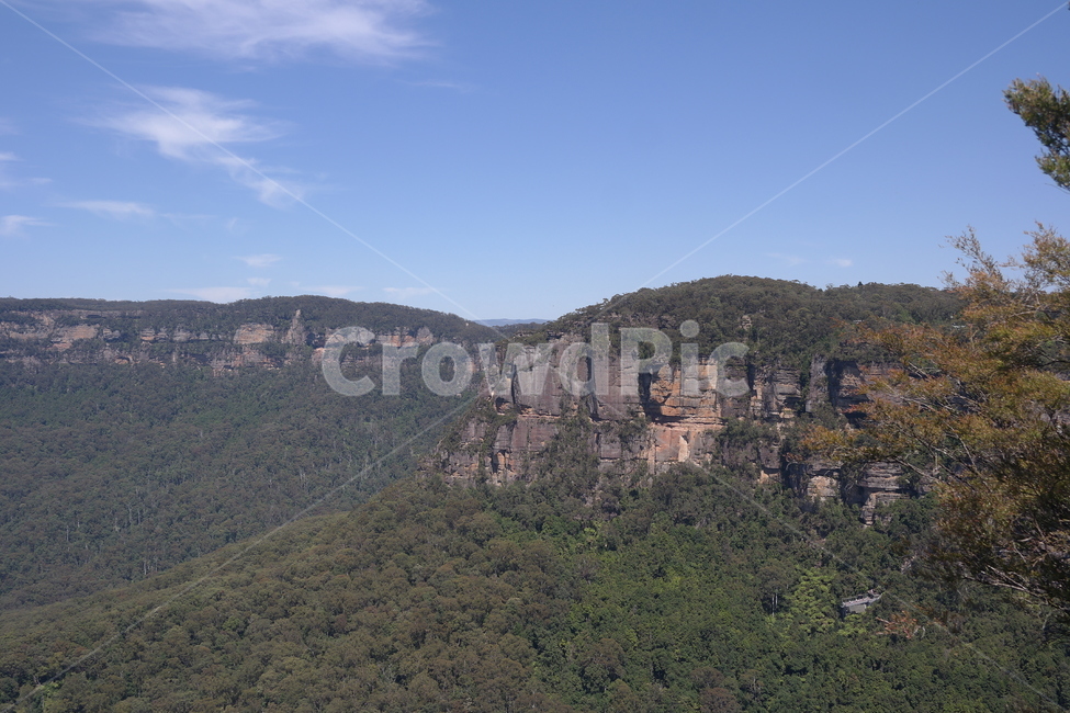 블루마운틴,호주,시드니,숲,자연,자연,풍경,nature,landscape,해외,외국,세계,foreign,oversea,world,세계자연풍경,해외자연풍경,외국자연풍경,world nature landscape,outdoors,옥외,plateau,고원