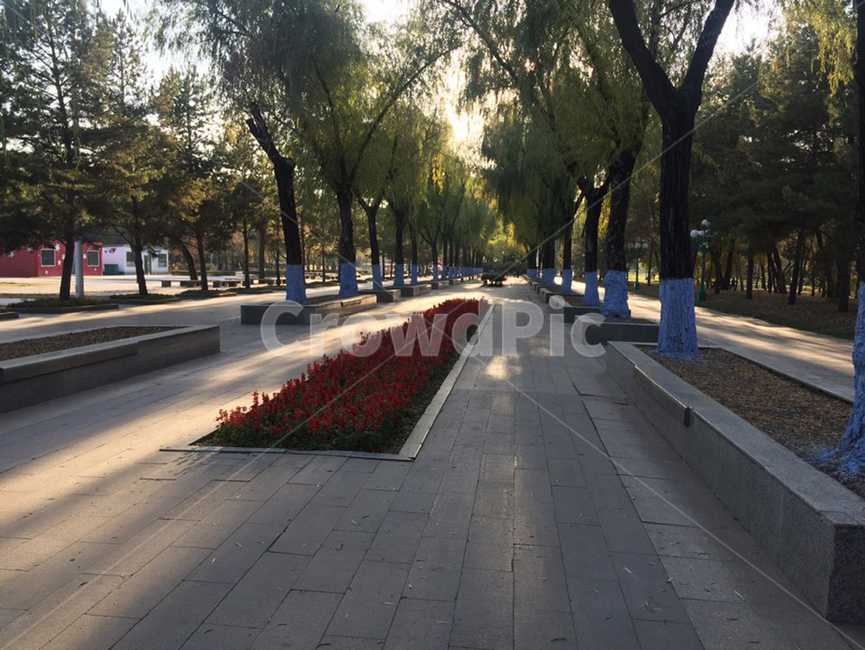 path,통로,flagstone,판석,sidewalk,walkway,포장,pavement,보도,중국,산책,산책로,태양,빛