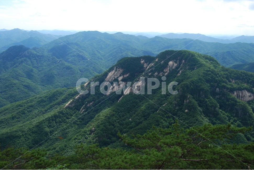 산,하늘,나무,탐방로,자연,자연,풍경,nature,landscape,slope,경사,outdoors,옥외