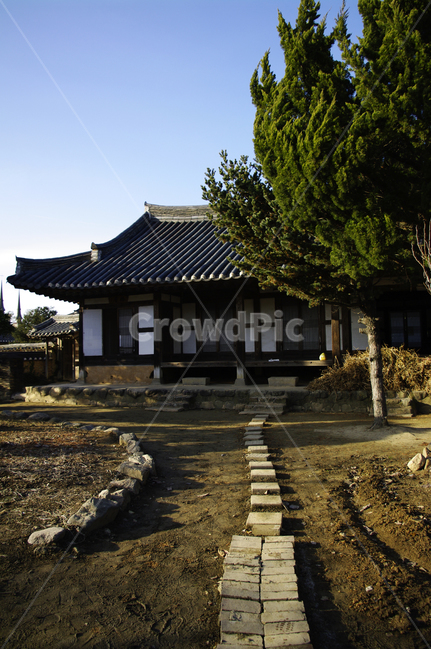 한옥,가옥,기와지붕,나무,한국,전통가옥,한국전통,한국문화,korean traditional,korean culture,건축물,건물외관,exterior,building,structure,architecture,construction