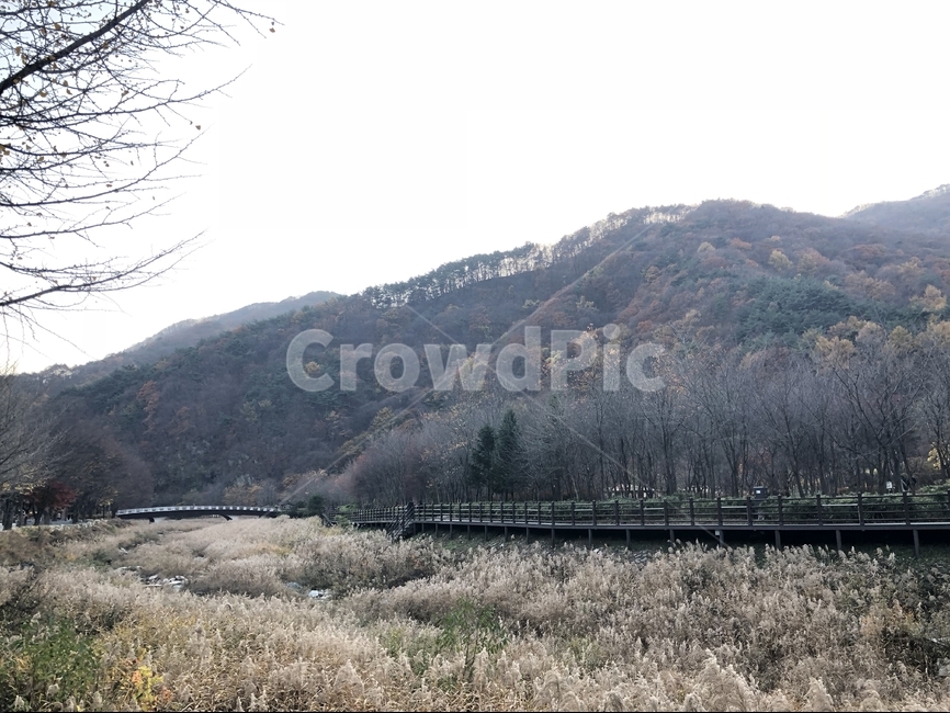 한국,풍경,가을,자연,natural,korea,풍경사진,문경,가을,계절,fall,autumn,season,자연,풍경,nature,landscape,한국자연풍경,한국자연경관,korea nature landscape,outdoors,옥외
