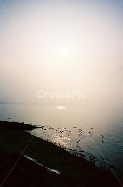 바다,일출,일몰,풍경,구름,sea,sunset,sunrise,landscape,cloud,자연,nature