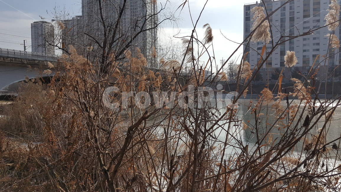 공원,호수,풍경,겨울공원,공원풍경,자연,추위,겨울,겨울,계절,winter,season,도시,풍경,city,landscape,한국도시풍경,한국도시경관,korea cityscape