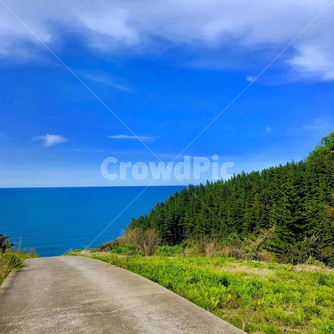 언덕,산,자연,바다,하늘,초록,파랑,구름,길,울릉도,시골