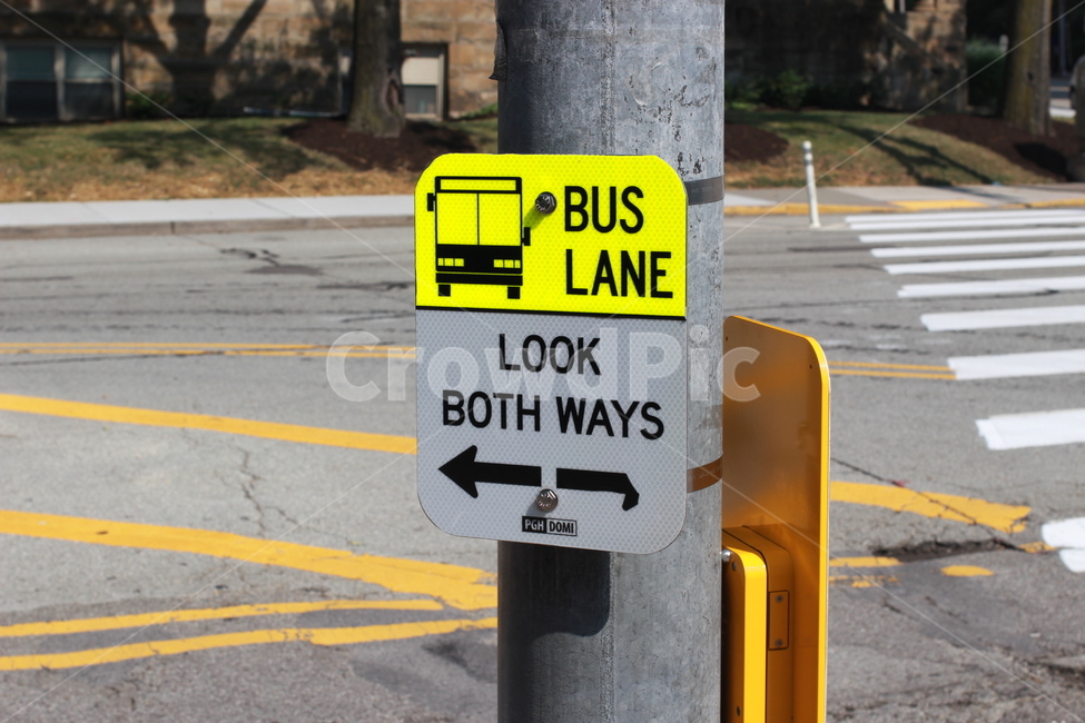 버스,미국,미국풍경,미국버스,america,bus,street,sign