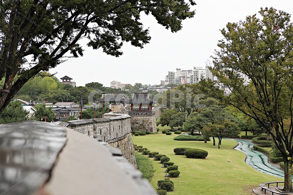 수원화성,성,성곽,길,둘레길,돌담,담,여름,자연,풍경,벽,방어벽,흙담,전통,한국전통,한국문화,korean traditional,korean culture