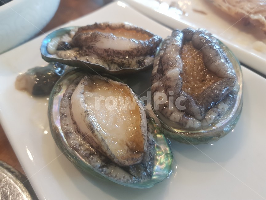 전복,음식,살아있음,각도,맛있음,음식,식재료,요리,food,cook,meal,dishes,food reserves,수산물,해산물,fishery products,seafood