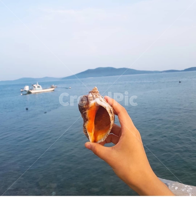 바다,여름,감성사진,소라,동해바다