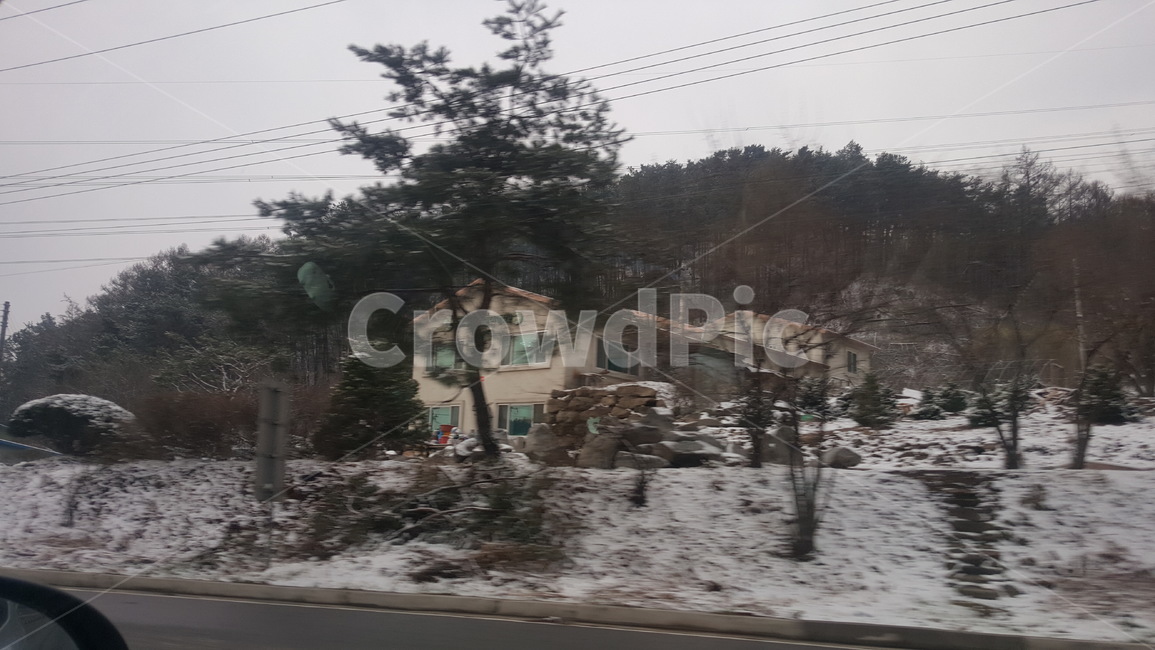 겨울산,추움,겨울,겨울풍경,눈,나무,산