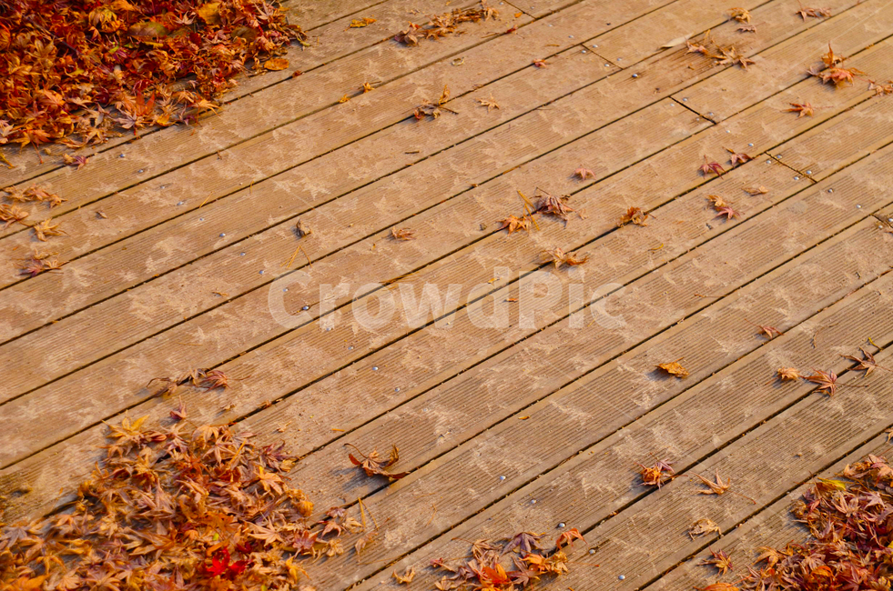 야외,식물,나무,낙엽,가을,무늬,빨간색,가을,계절,fall,autumn,season,bridge,다리,boardwalk,산책로,building,건물