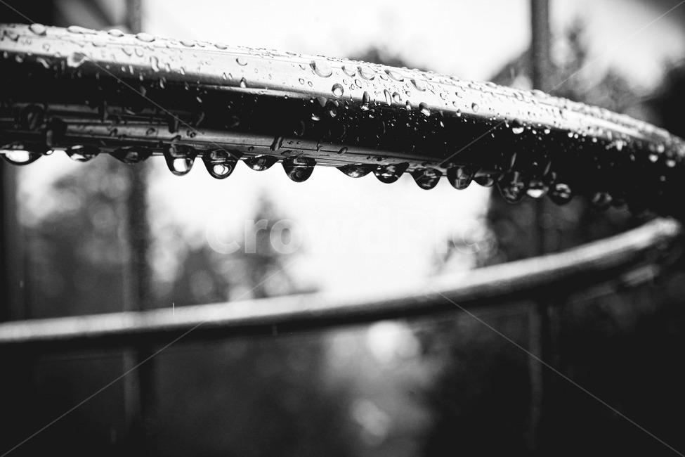 흑백,비,이슬,빗방울,감성,흑백,모노톤,monochrome,black and white