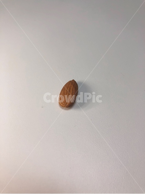 almond,아몬드,food,음식,nut,너트,vegetable,야채,견과류,간식,식품