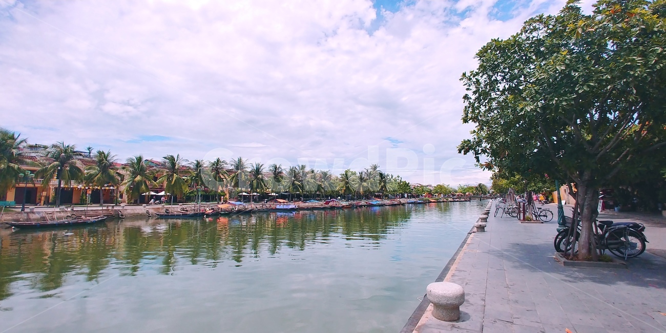 plant,식물,tree,나무,water,물,outdoors,옥외,하늘,강,반사,river,sky