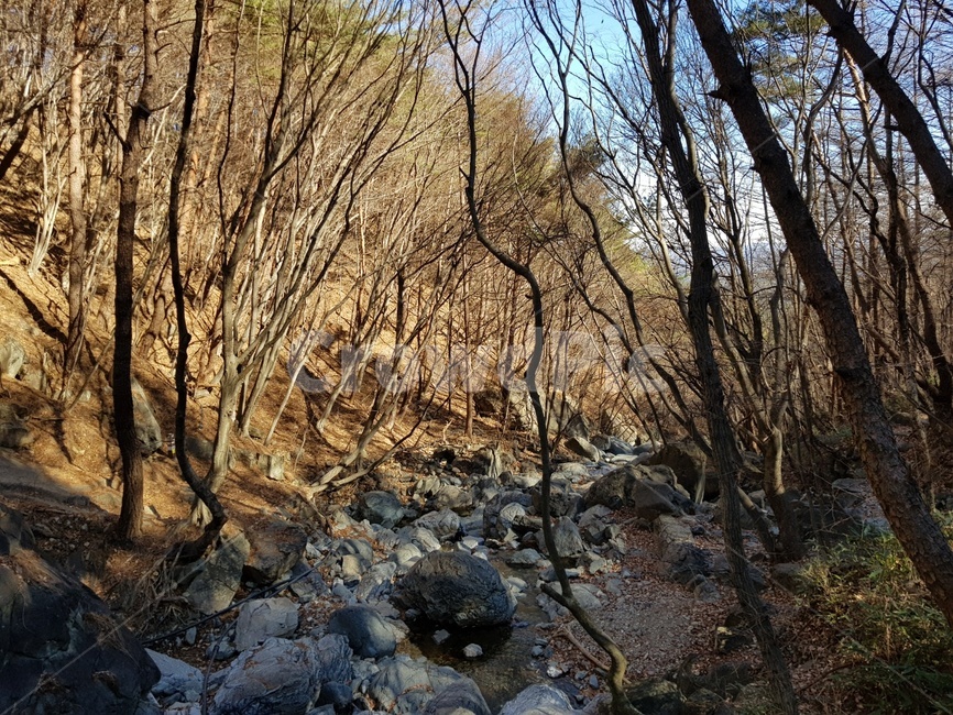 바위,산속,나무,가을,계곡