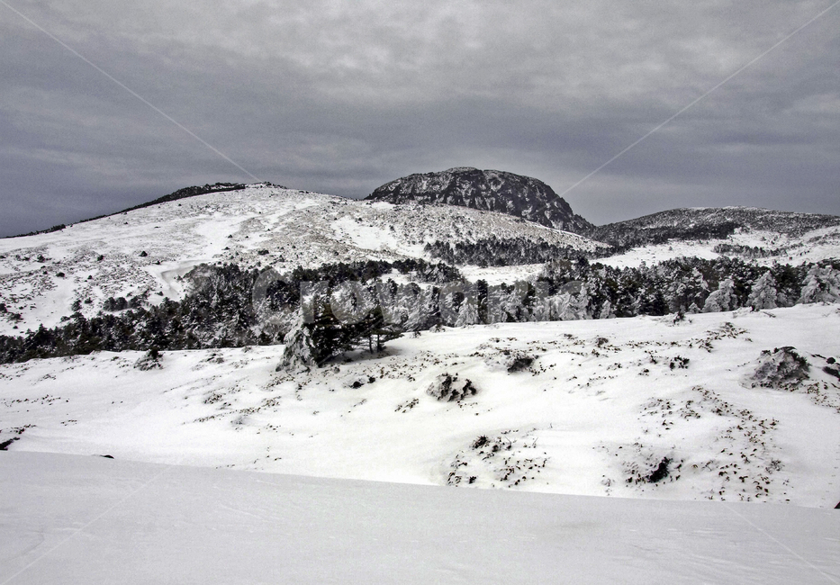 한라산,백록담,겨울,설산,설경,눈,제주도,겨울,계절,winter,season,자연,풍경,nature,landscape,outdoors,옥외,mountain,산,plant,식물,tree,나무