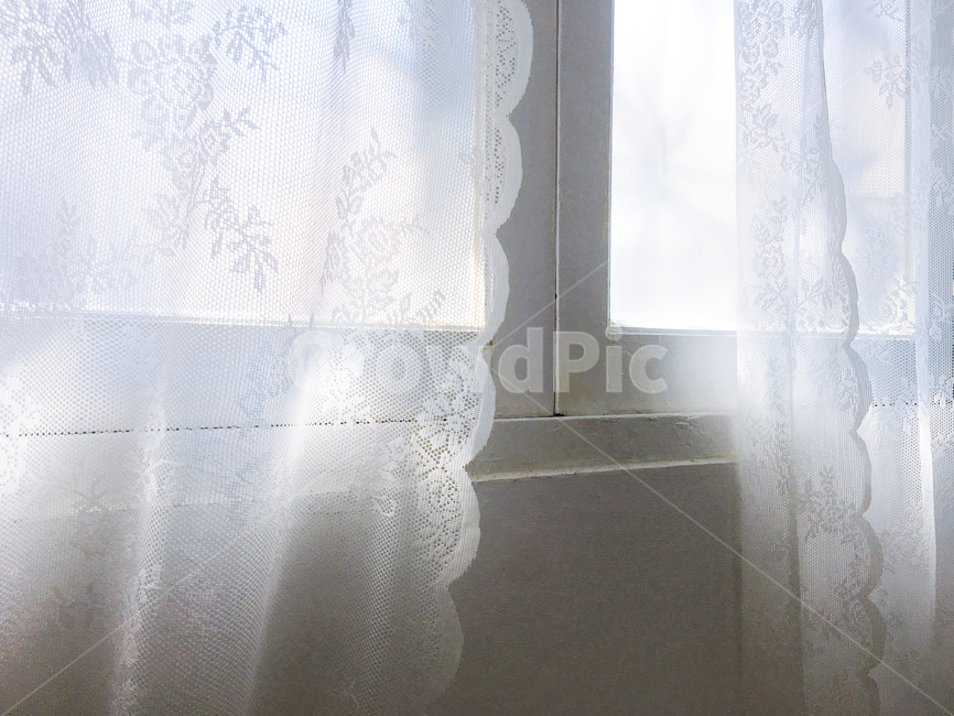 창문,커텐,화이트,레이스,햇살,lacycurtain,white,window,sunshine,인테리어,공간,빛,interior,깨끗한,꽃무늬,밝은