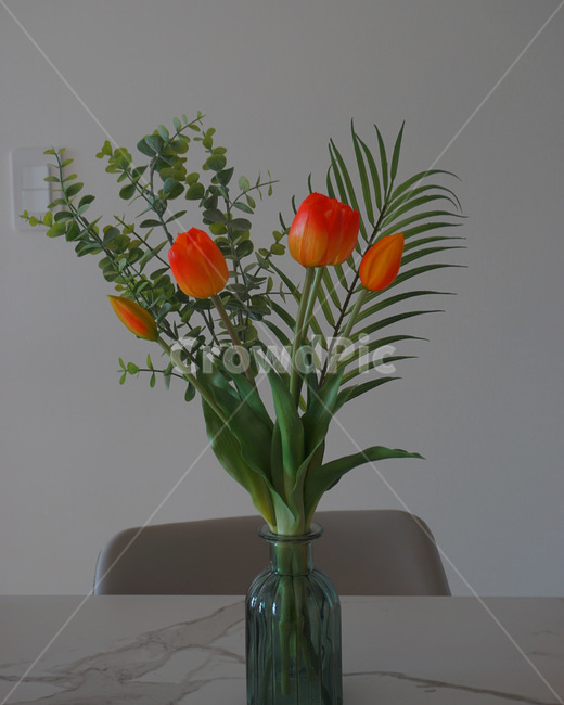 망고튤립,화병,mood,감성사진,blossom,병장식,식물,꽃,flower,꽃,flower,실내용화초,화분,화초,house plant