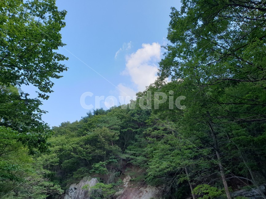 산,구름,파랑,bluesky,녹색초록,green,자연풍경,여름,나무,숲