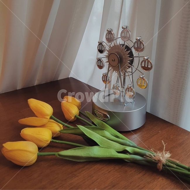 튤립,오르골,풍경,배경화면,꽃