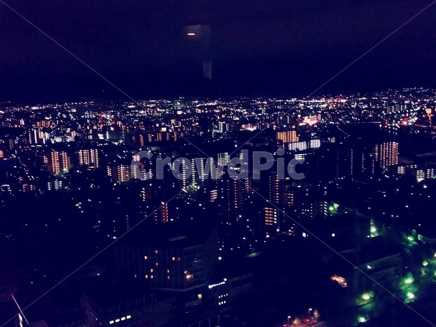 저녁,도시풍경,불빛,도시,밤,야경,밤,풍경,nightscape,night,landscape,도시,city,outdoors,옥외,경치,nature,자연,scenery,aerial view,조감도