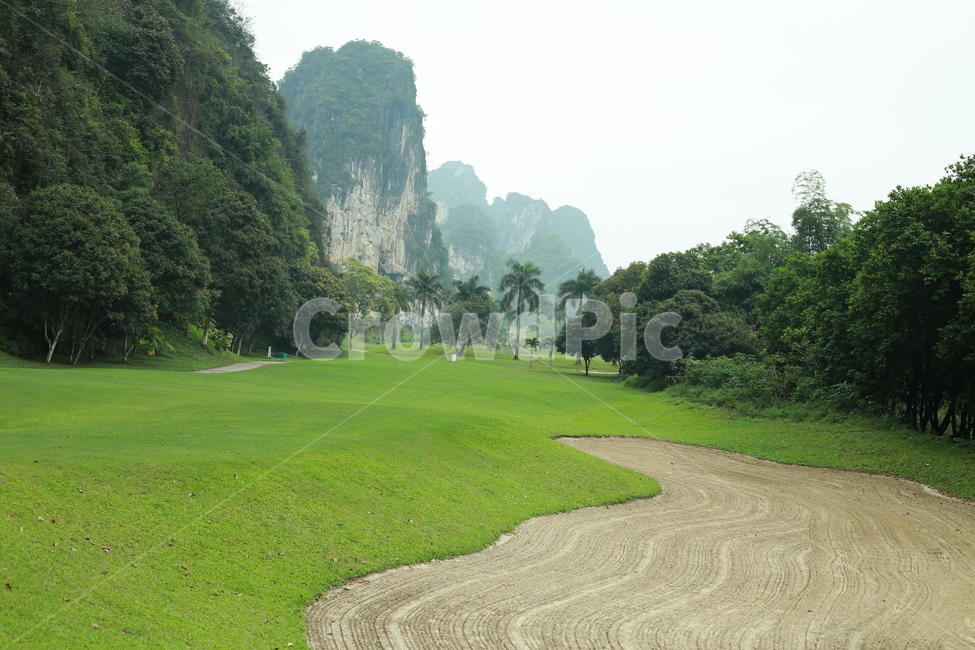 field,들,골프코스,골프,자연,golf,golfcourse,outdoors