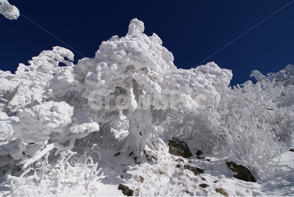 덕유산,설경,상고대,무주,풍경,눈,국립공원,겨울,계절,winter,season,자연,풍경,nature,landscape,outdoors,옥외,snow,frost,서리