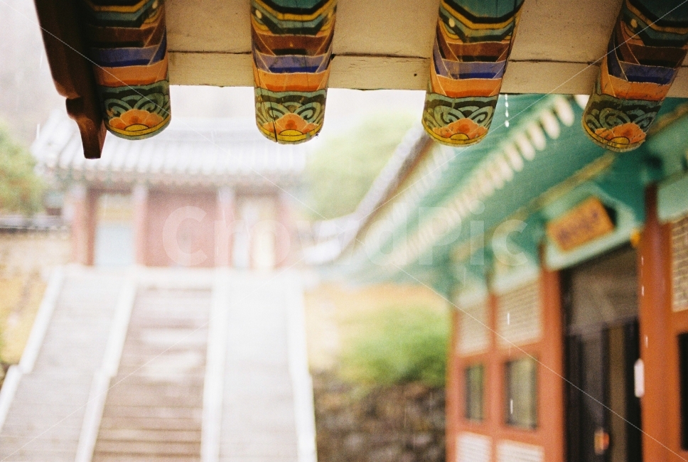 beautiful,analog,korea,Nikon,Hanok,Rainy Day,Korean,Fm2,film,film camera