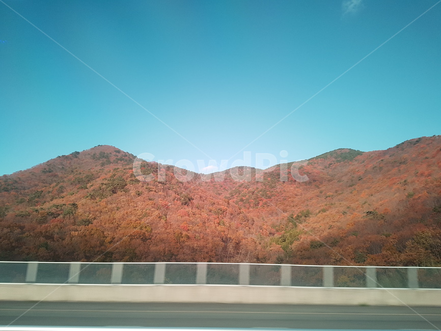 산,단풍,도로,자연,풍경,nature